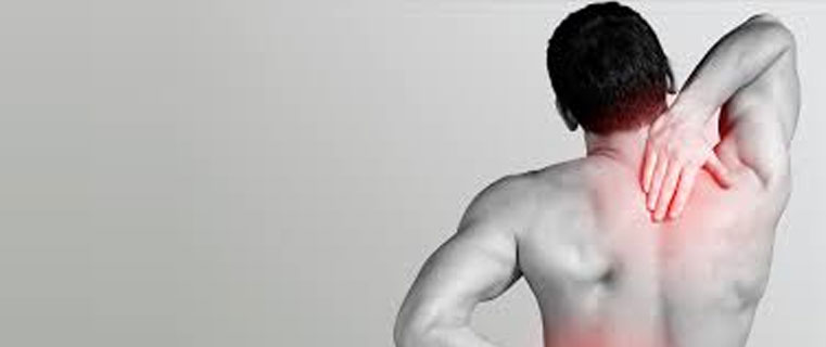 Musculoskeletal Pain Medicine 